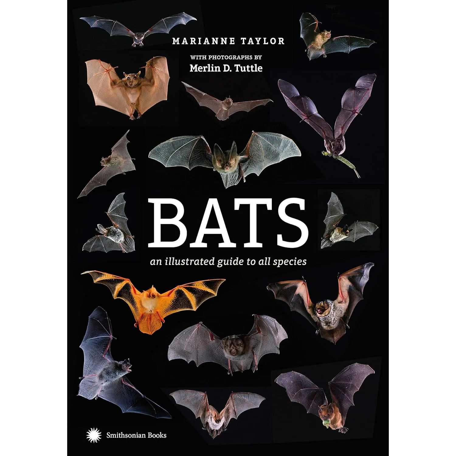 Bats: An Illustrated Guide to All Species