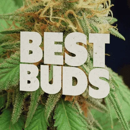 BEST BUDS HEMP GREETING CARD