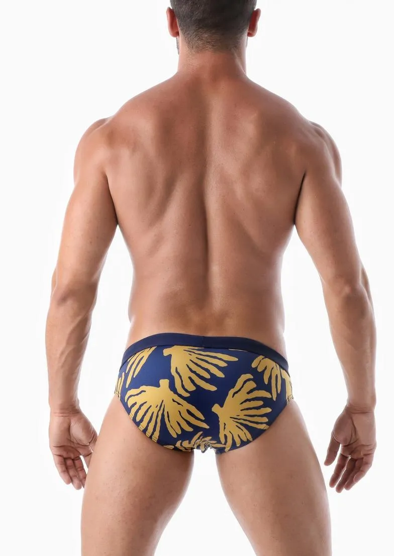 SWIMMING BRIEFS 2020s2